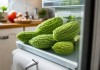 新飞冰箱热线400客服中心分享(苦瓜放冰箱保质期有多长)