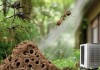 生能热水器空气能客服报修热线梳理:白蚁与空气能：它们之间有何关联？